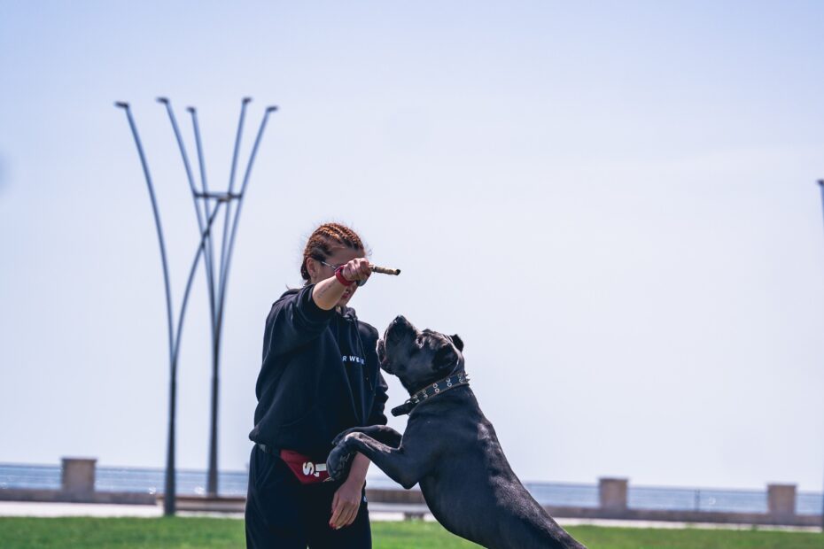 akram-huseyn-TOGQZDeTo4k-unsplash