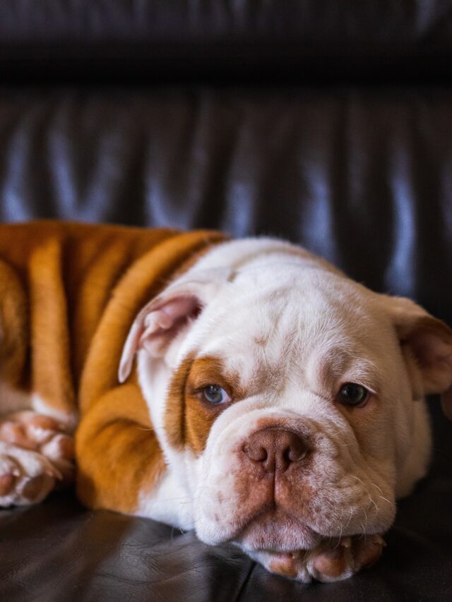 What Emoji Are You, According to Your Zodiac Sign? Must Read