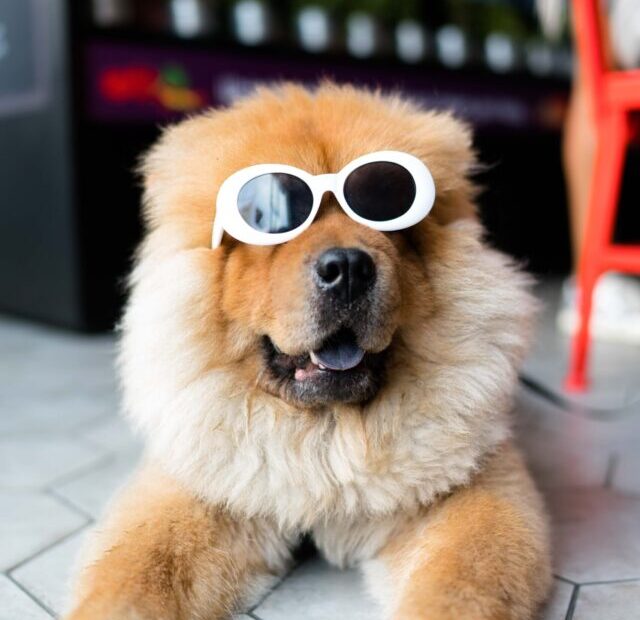 alan-king-KZv7w34tluA-unsplash