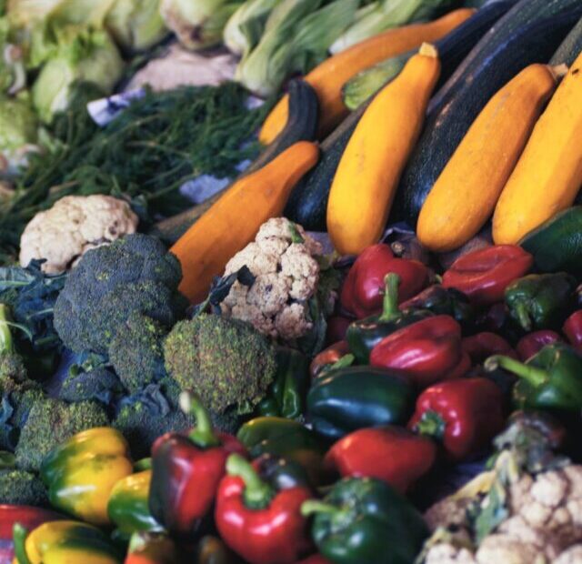 alexandr-podvalny-WOxddhzhC1w-unsplash