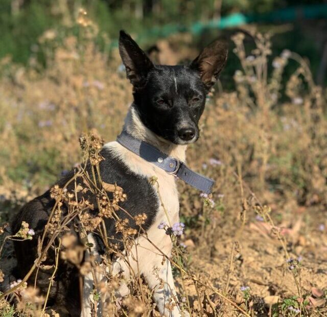 arnold-antoo-VEORma8sM50-unsplash