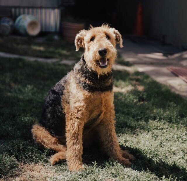 ben-moreland-_m-vmfUV-4g-unsplash