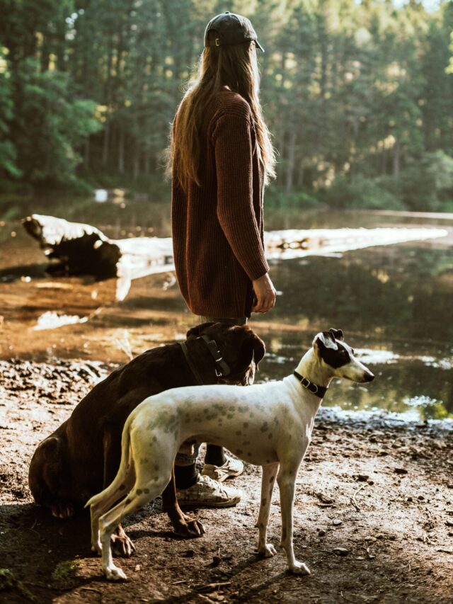 Ways to Strong Bond with Your Dog