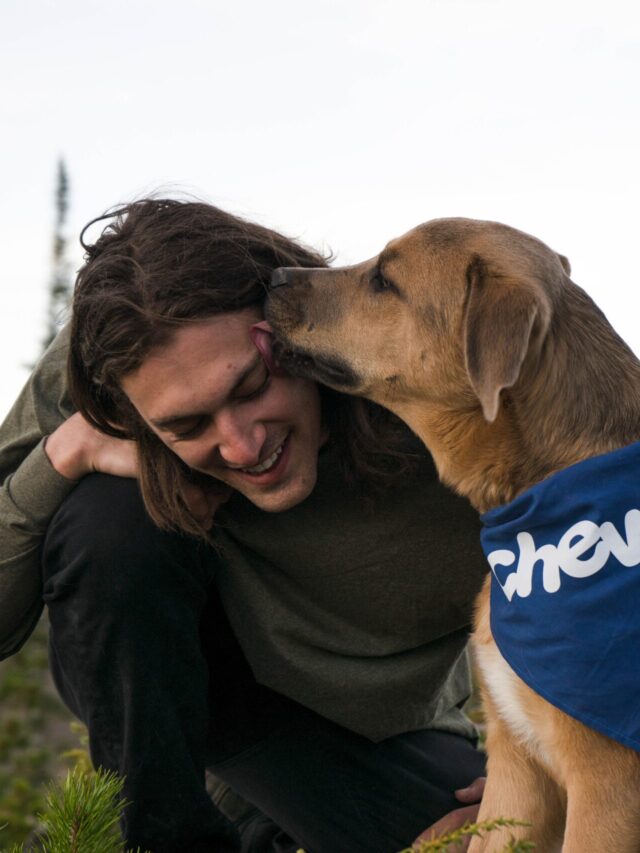 Does Your Dog Love You?