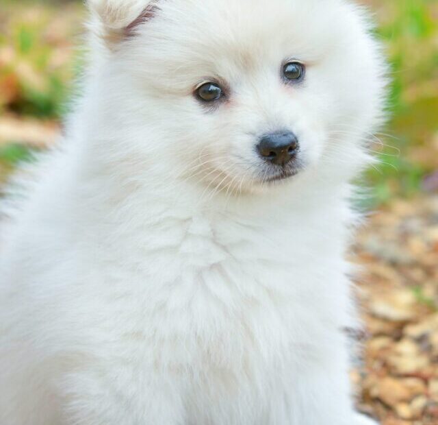 cristina-anne-costello-NR2eMg9zXxA-unsplash