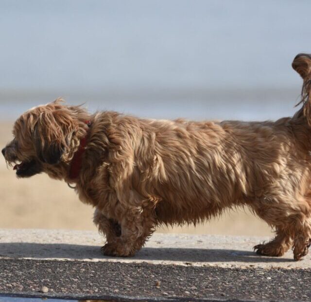 gerry-widnell-tIJ9tD8a9w0-unsplash