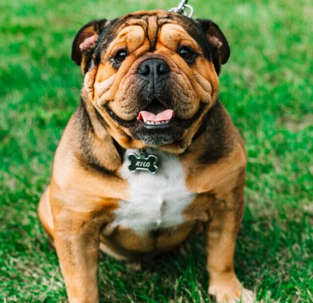 hermes-rivera-yeDt1JvaLBQ-unsplash