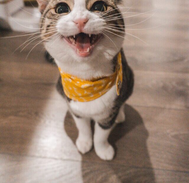 jae-park-7GX5aICb5i4-unsplash