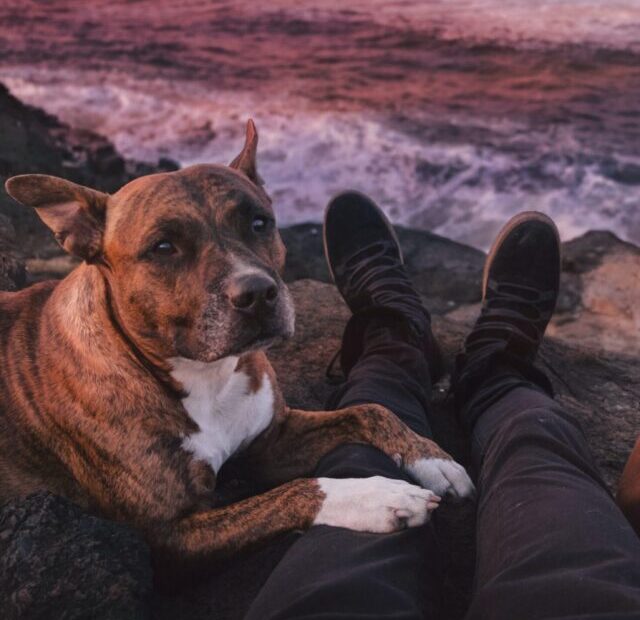 leio-mclaren-WphP036Zuvg-unsplash