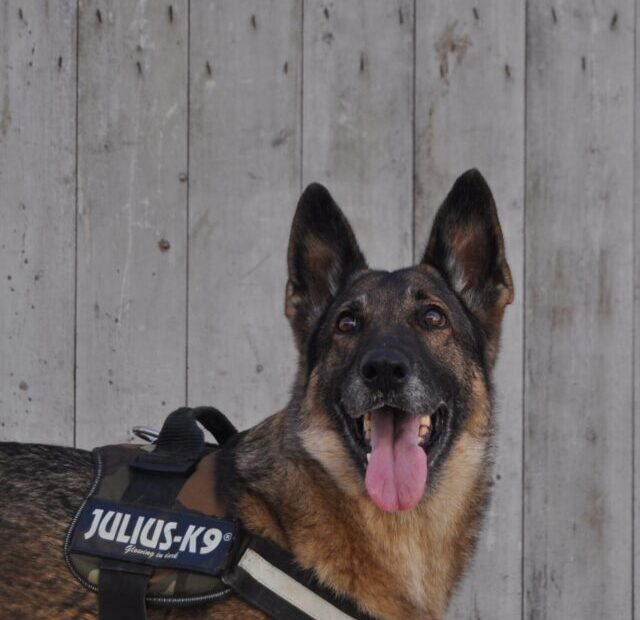 marisa-teruel-KJw5mWB3LS4-unsplash