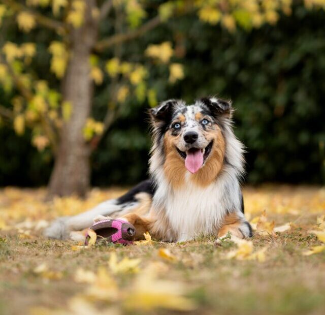 martin-blanquer-2nRROZpbZVc-unsplash