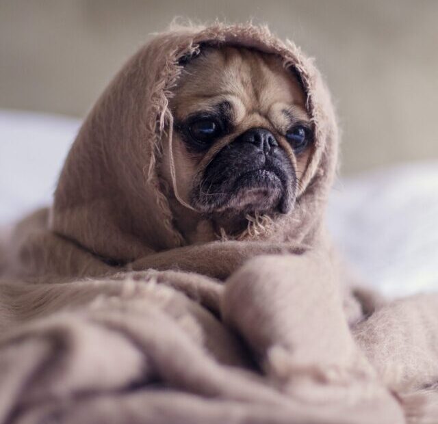 matthew-henry-2Ts5HnA67k8-unsplash