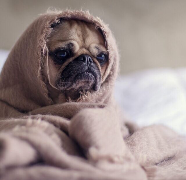 matthew-henry-2Ts5HnA67k8-unsplash