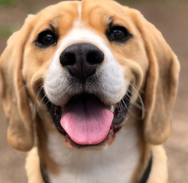 milli-2l0CWTpcChI-unsplash
