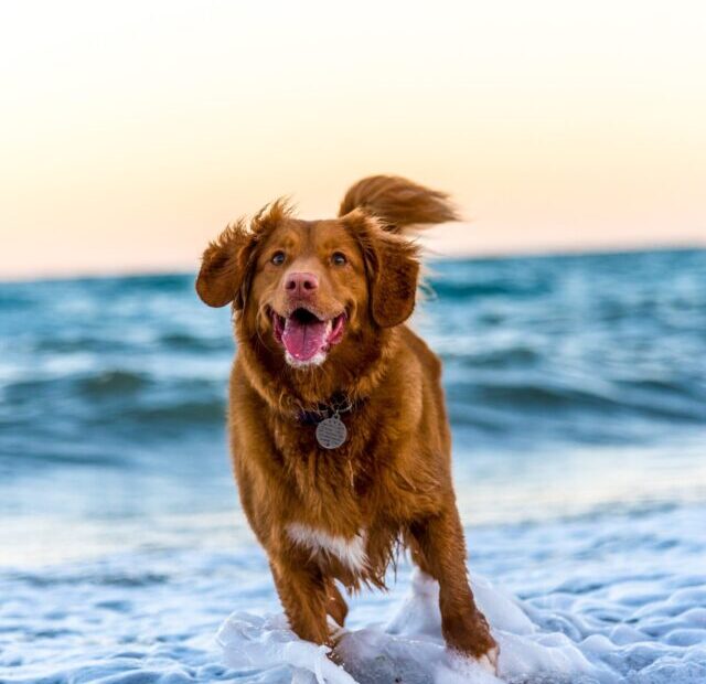 oscar-sutton-yihlaRCCvd4-unsplash