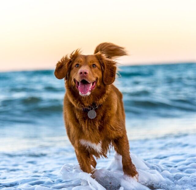 oscar-sutton-yihlaRCCvd4-unsplash