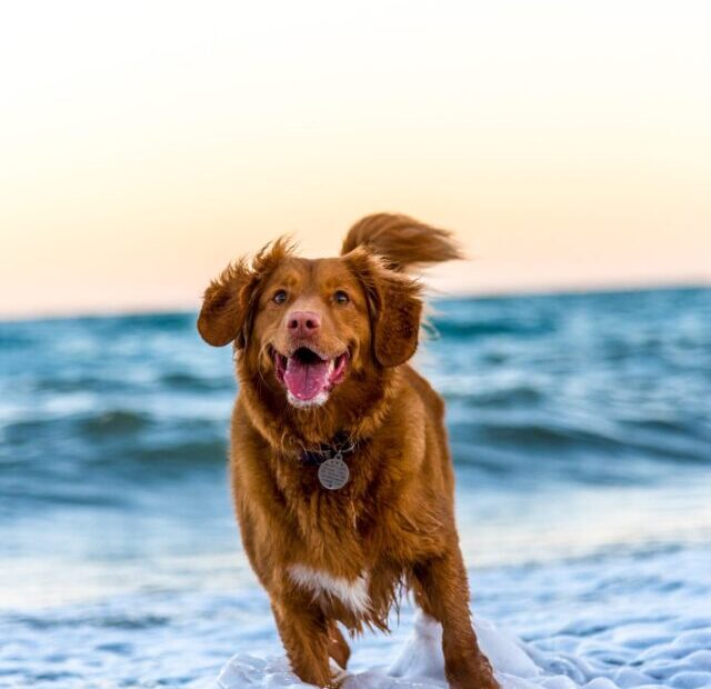 oscar-sutton-yihlaRCCvd4-unsplash