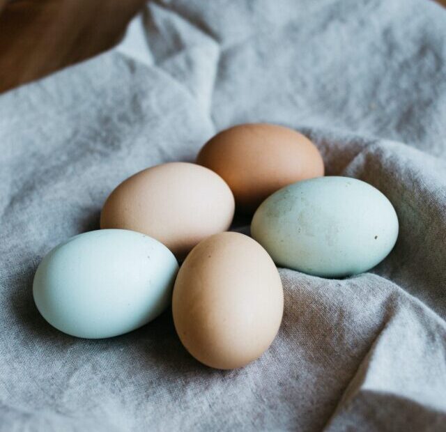 rachael-gorjestani-g8xdO1Q1kIg-unsplash