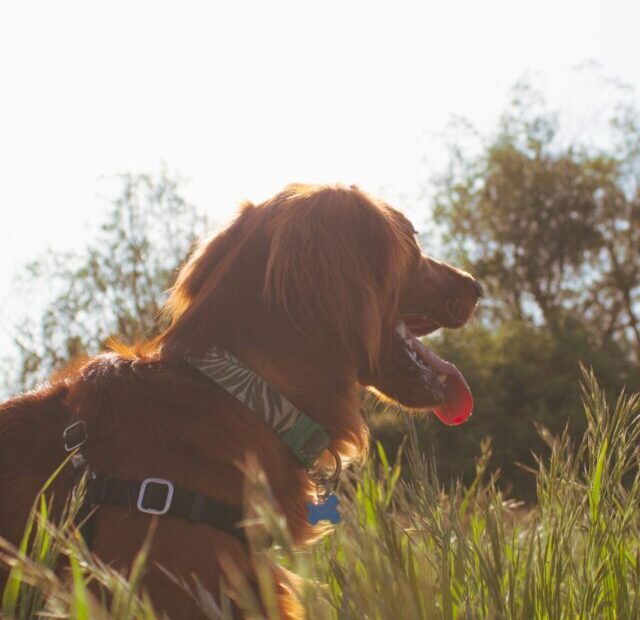 ryan-stone-aXTrlk6e-K0-unsplash