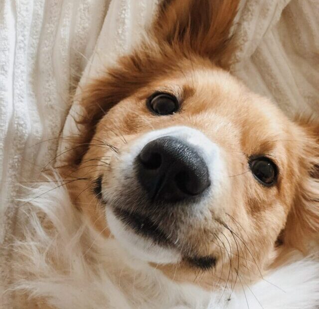 undine-tackmann-8mxSINYFoSw-unsplash