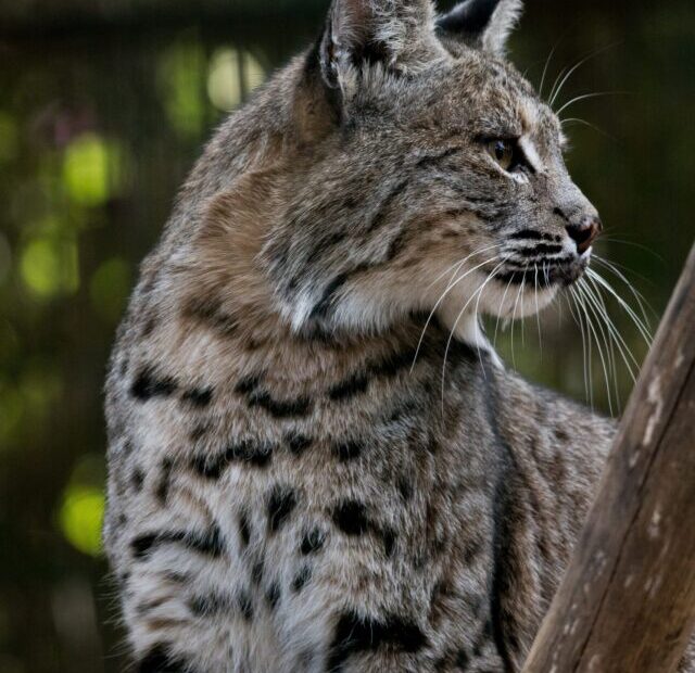 uriel-soberanes-BdTXih1IfTs-unsplash