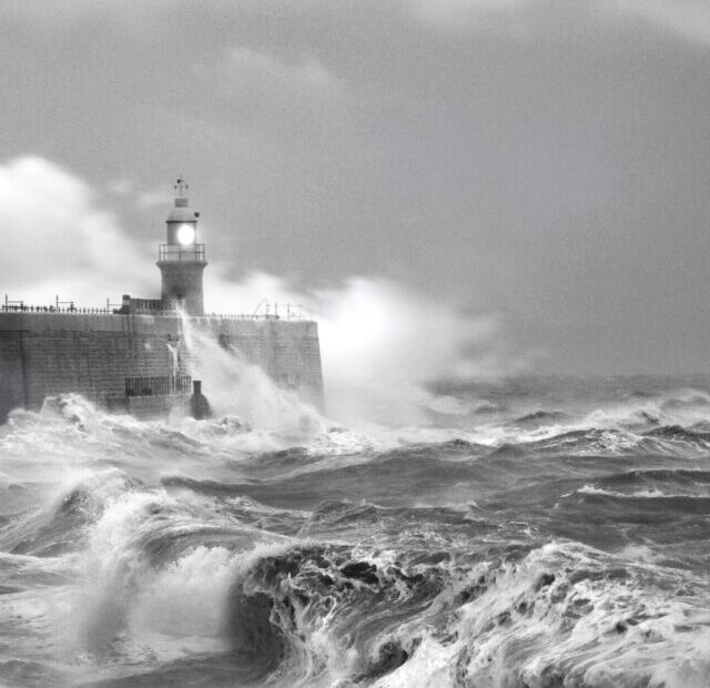 zoltan-tasi-bjjTsPATZ_w-unsplash