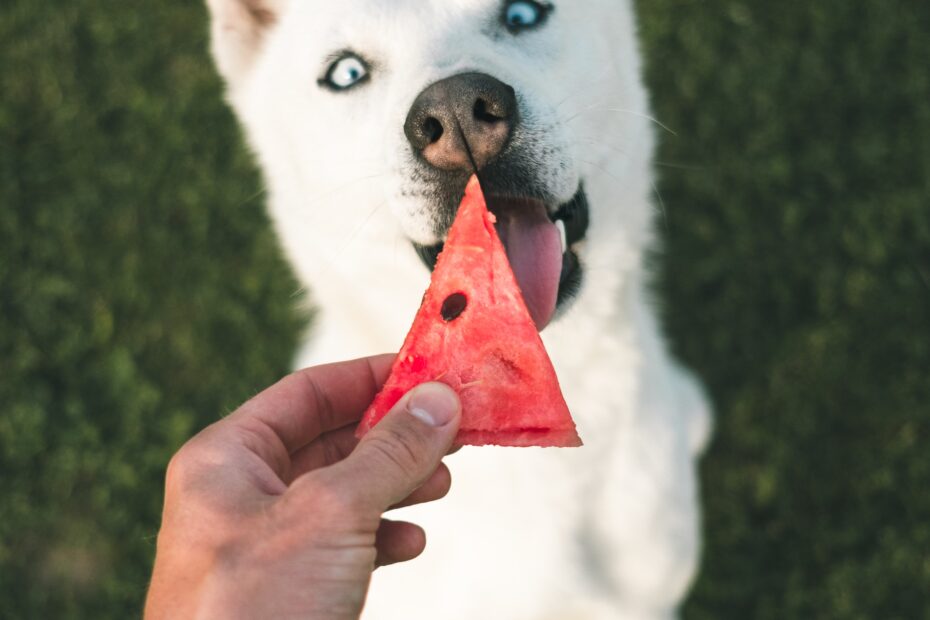 marek-szturc-dFgtAO0qBVk-unsplash